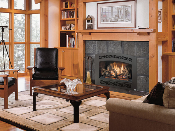 Gas Fireplaces Gallery | Fireplace Xtrordinair | Made in America